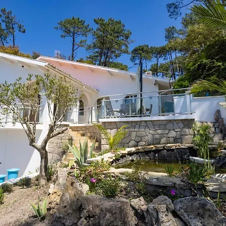 Villa D'exception: Piscine Chauffee, Spa, Pour 14, A 5 Min Du D'hossegor - Fr-1-791-20 *