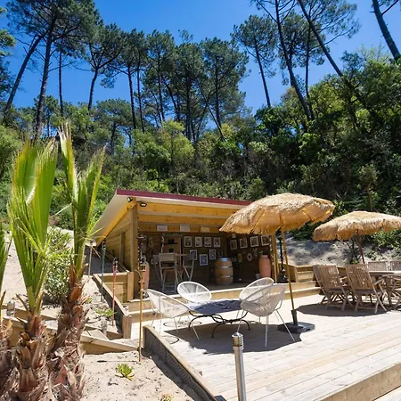 D'exception: Piscine Chauffee, Spa, Pour 14, A 5 Min Du D'hossegor - Fr-1-791-20